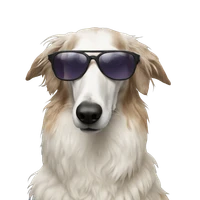 Joao Guassi Moreira's profile picture