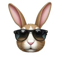 Vannia Fernández's profile picture