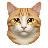 Tomohiro Motoda's profile picture