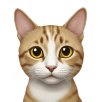 Ilinca Mitrea's profile picture