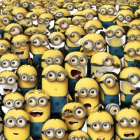 Chagna Yassine's profile picture