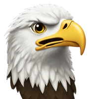 Sergo Vashakmadze's profile picture