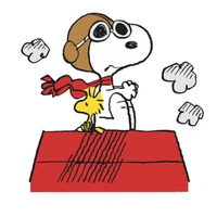 Tom Diederich's profile picture